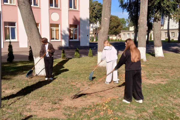 Трудовая акция 8 классы