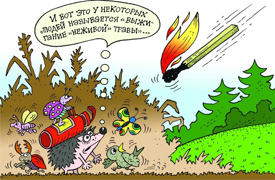 Не допускайте палов! Берегите природу и свою безопасность!