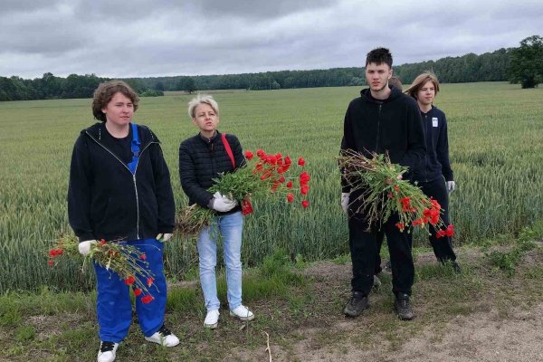 15.06.26 г. День 4 дневного лагеря (ЛТО) «ПРО100Лето»