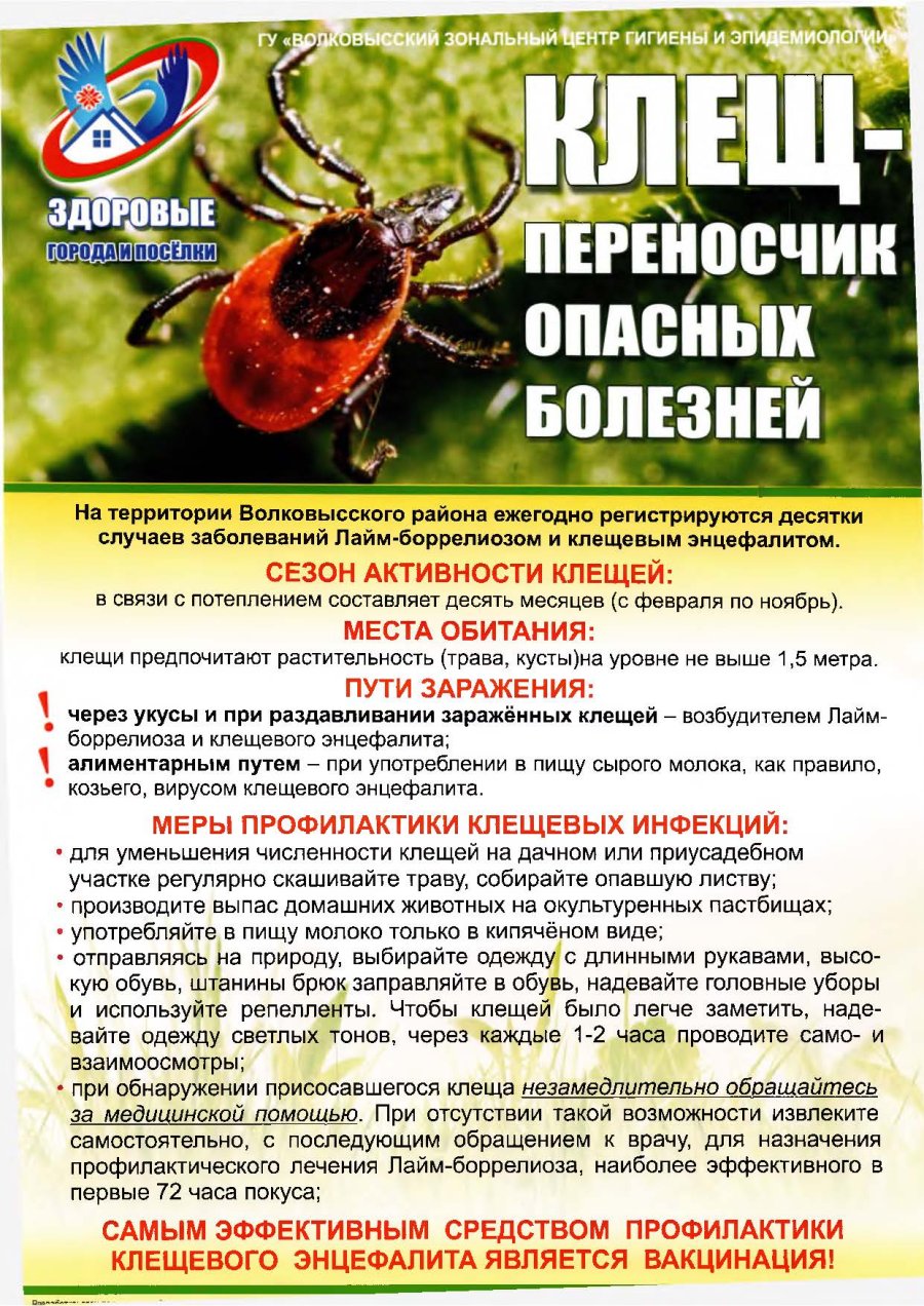 Профилактика клещевых инфекций.