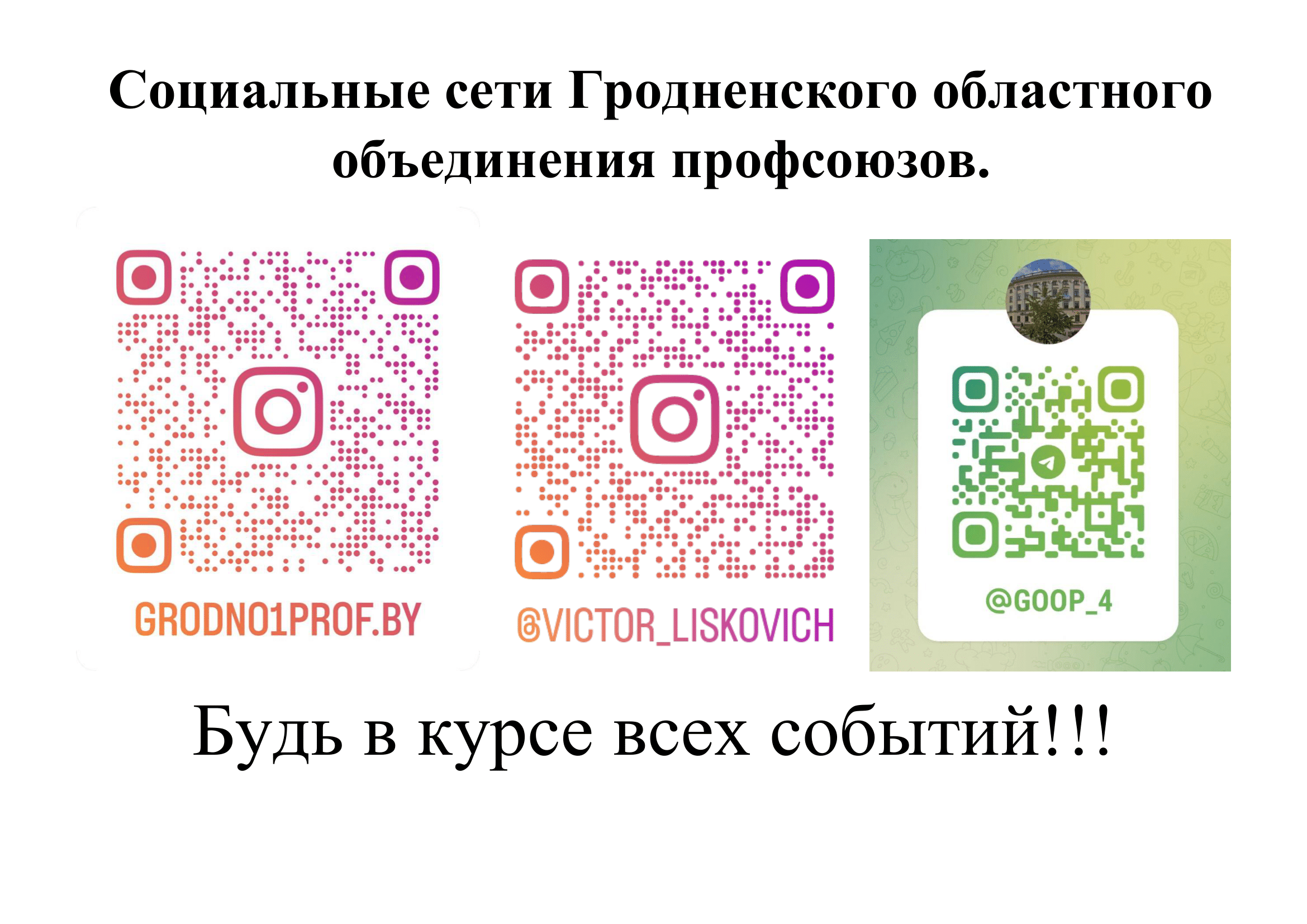 «Культура ухода за животными у нас растет». Как руководитель из Бобруйска стала грумером